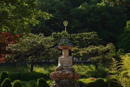 Stone Buddha statue in a peaceful temple garden in South Korea