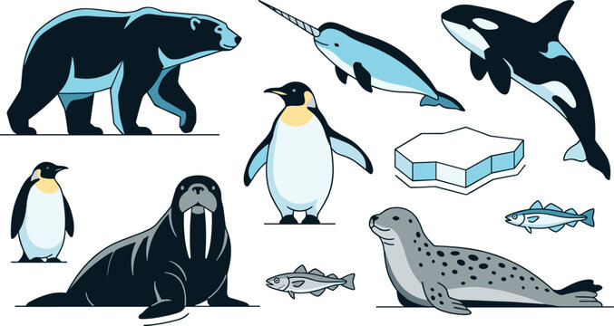 Arctic and Antarctic Polar Wildlife Vector Icon Set with Polar Bear, Orca Whale, Walrus, Emperor Penguins, Narwhal, Spotted Seal, Ice Floe, and Fish Symbols