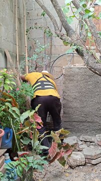 Young Mason Plastering and Rendering Wall with Fresh Cement Mortar