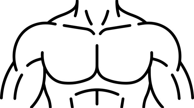 Muscular chest and torso icon, fitness and bodybuilding concept, strong male body silhouette, vector illustration
