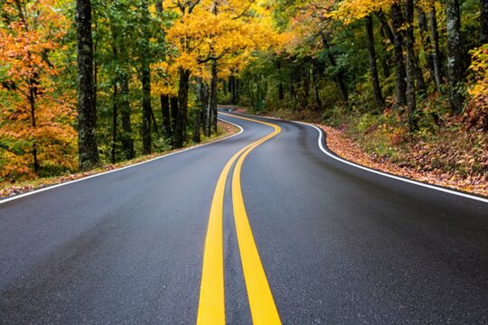 Road with winding asphalt curve through scenic forest with vibrant autumn trees