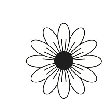 Simple Daisy Flower Illustration