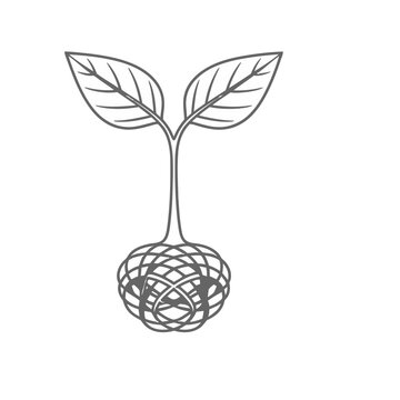 Sprout with tangled roots