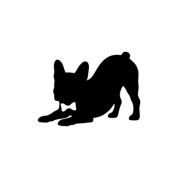 Playful French Bulldog Silhouette Vector Illustration Isolated on White Background