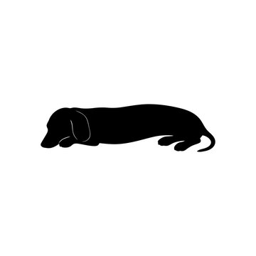 Sleeping Dachshund Dog Silhouette Vector Illustration Isolated on White Background
