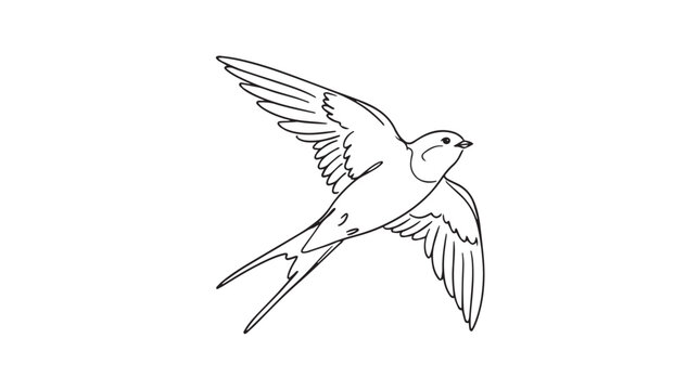 Minimalist swallow bird line art, flying swift vector illustration, black and white swallow outline drawing for logo design and tattoo art