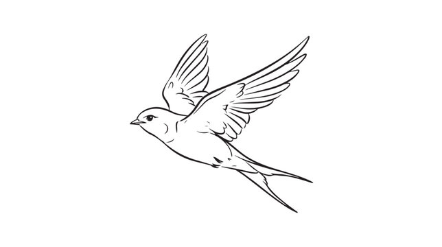 Minimalist swallow bird line art vector, elegant flying swift sketch on white background, hand drawn avian illustration for logo design and tattoos