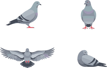 Naklejka premium Pigeon Bird Vector Icon Set with Grey Doves in Flying, Standing, and Sitting Poses for Nature Wildlife Graphics and City Animal Designs