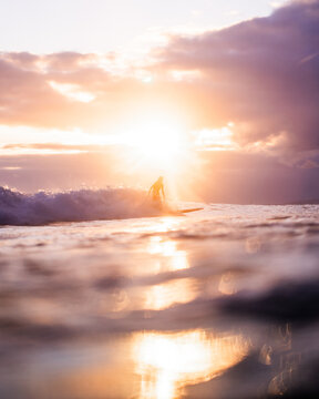 Unknown surfer gliding at Sunset time in Waikiki beach