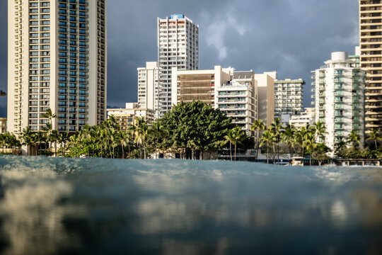 The legendary Banyan Tree in Waikiki beach where all locals gather
