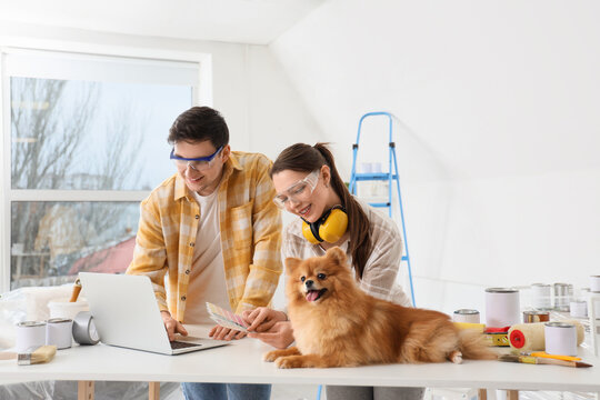 Young couple with Pomeranian dog using laptop on table during repair in their new house