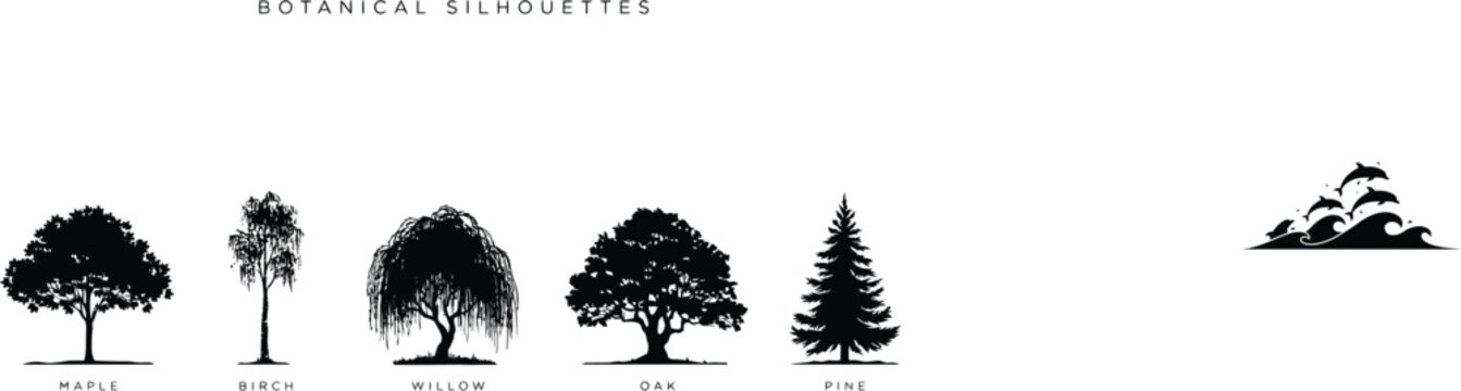 Botanical silhouettes set featuring maple, birch, willow, oak, and pine trees with text labels isolated on a white background, for nature