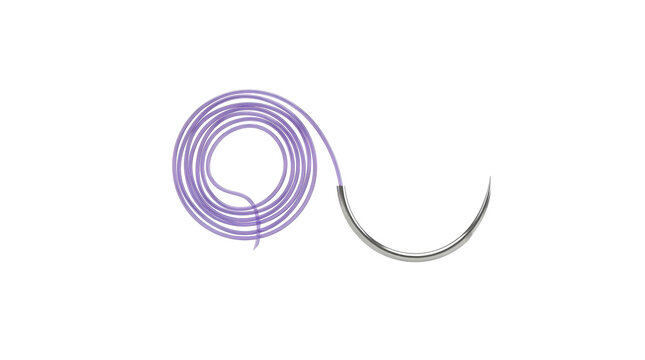 Surgical Suture: A sterile, violet surgical suture thread is coiled neatly alongside a curved surgical needle, ready for medical application.