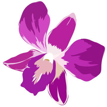 Minimalist Flat Vector Illustration of a Blooming Purple Orchid Flower
