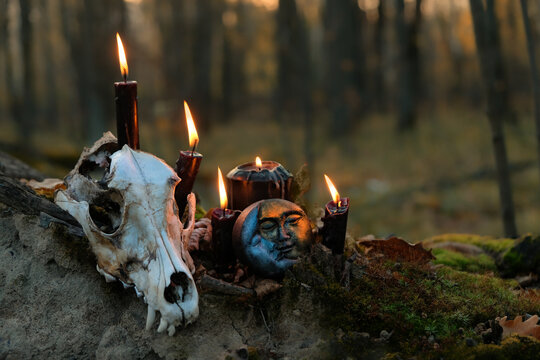 old animal skull with burning black candles and amulet close up in forest, dark natural background. symbol of death, terrible, scary. witchcraft, magic ritual. samhain, Halloween holidays