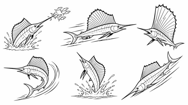 Sailfish Collection: Dynamic Poses of Ocean Predator