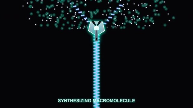 Synthesizing Macromolecule: Abstract 3D animation of a glowing polymer zipper unzipping to release digital particles and energy nodes
