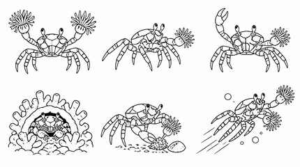 Obraz premium Boxer Crab Activities in Various Poses, Hand-Drawn Outline Illustration