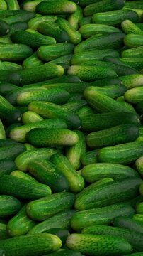 Flying over endless cucumbers pile - 3d render looped.