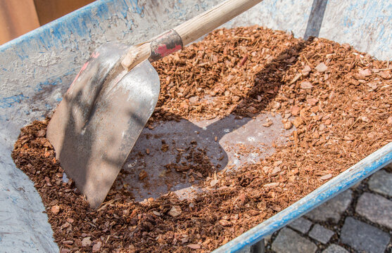 Wheelbarrow and shovel in the garden, landscape gardening