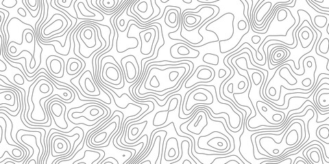 Elegant terrain contour line background, abstract geographic mapping lines with smooth organic curves, for poster, flyer and background design. © Queality Full