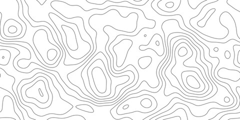 Elegant topographic contour line background, abstract geographic mapping lines with smooth organic curves, for website, header and print layout. © Queality Full