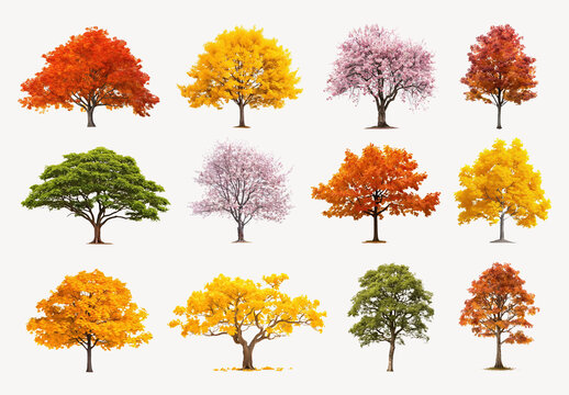 Colorful Seasonal Tree Element Set