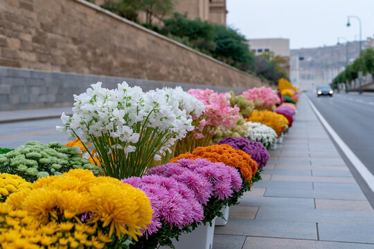 Fiesta del pilar. Colorful flower display along city street during fiesta del pilar featuring vibrant floral arrangements in an urban setting
