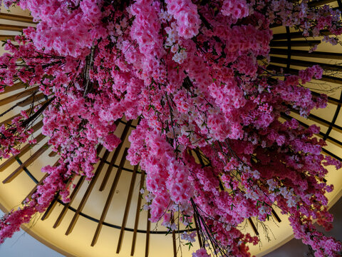 Decorative pink flowers hanging from the ceiling