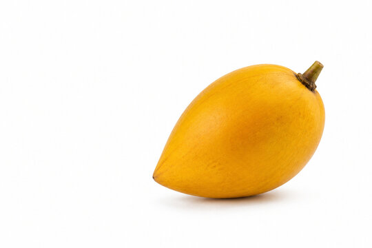 Whole Ripe Canistel Eggfruit Isolated on White