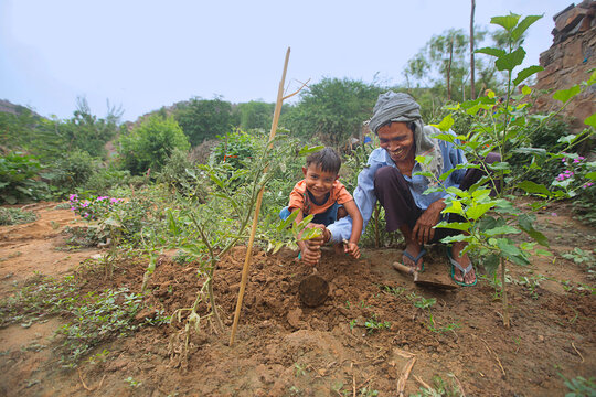 old man teaching farming to a child in the field