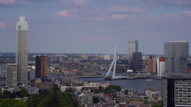Erasmus Bridge Across Nieuwe Maas River in Rotterdam Cityscape