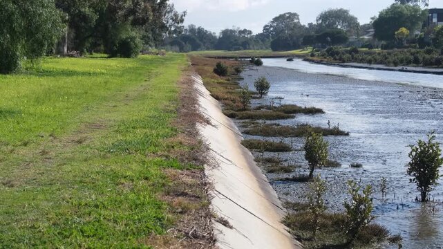 Grassy embankment and concrete channel lining Cherry Creek in Seaholme, Melbourne, Australia, featuring tidal mudflats, young mangrove saplings, and coastal wetland habitat, suburban green space