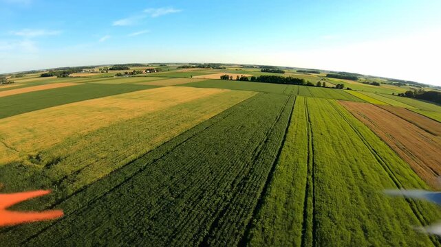 Aerial View of Farmland - A Patchwork of Green and Gold.