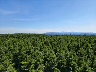 Widok na góry  © WalDec