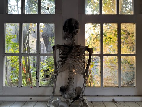 Human skeleton sitting in front of sunlit vintage windows inside an abandoned room with eerie atmosphere and haunting interior scene.