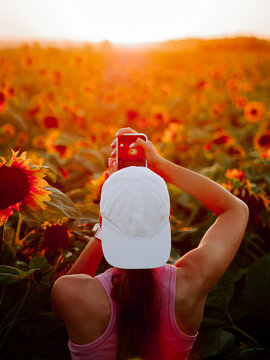 Woman wearing a white cap captures a golden sunset over a field of bright yellow sunflowers at dusk