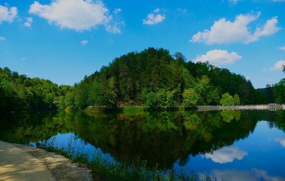 Lake in pure green nature with forest reflection in a water and a blue sky with fluffy clouds, Croatia