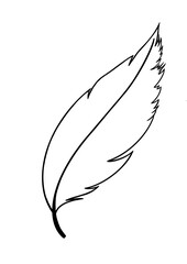 feather vector illustration © Agnes