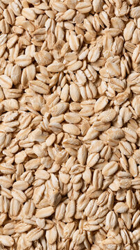 Rolled oat grains. Beige flakes with rough texture. Natural ingredient composition for food design  