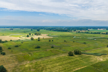 Fototapeta premium Narew River Valley landscape with winding river and expansive fields