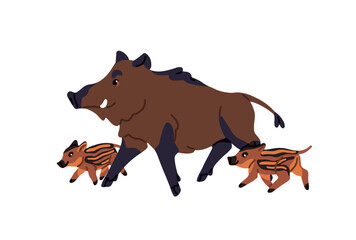 Boar with its striped piglets walk together. Cute family of wild pigs with mother and kids. Forest animal with babies. Woodland wildlife. Flat isolated vector illustration on white background © Paper Trident