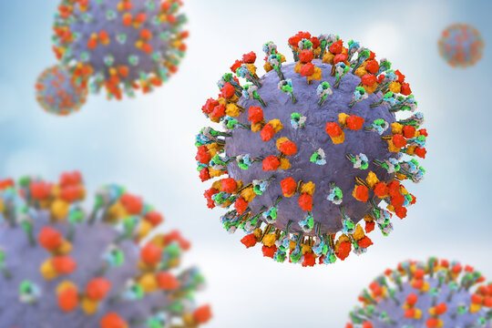 Newcastle disease virus particle, 3D illustration showing enveloped paramyxovirus with surface glycoprotein spikes and helical nucleocapsid