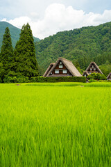世界遺産　白川郷合掌造り集落　かん町三つ子合掌　夏 © Hiro074