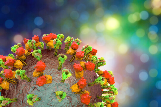 Newcastle disease virus particle, 3D illustration showing enveloped paramyxovirus with surface glycoprotein spikes and helical nucleocapsid