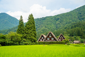 世界遺産　白川郷合掌造り集落　かん町三つ子合掌　夏 © Hiro074