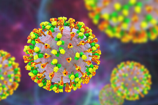 Newcastle disease virus particle, 3D illustration showing enveloped paramyxovirus with surface glycoprotein spikes and helical nucleocapsid