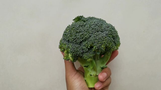 A hand holding a fresh piece of green broccoli against a plain light background