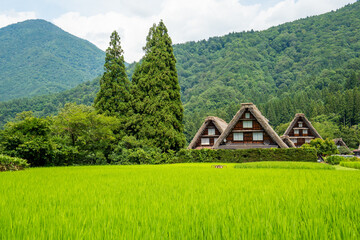 世界遺産　白川郷合掌造り集落　かん町三つ子合掌　夏 © Hiro074