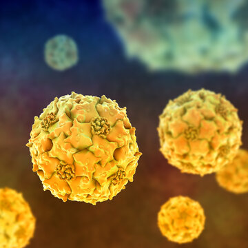 Parvoviruses, 3D illustration showing small non-enveloped icosahedral DNA viruses, including pathogens such as parvovirus B19 and canine parvovirus.